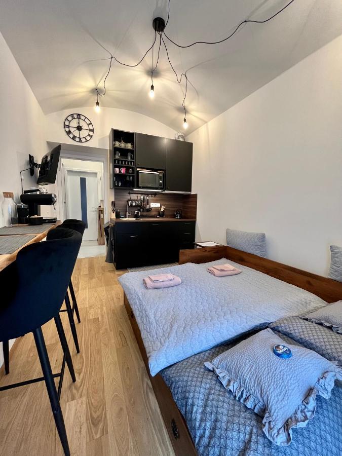 Studio V Prizemi S Kuchyni A Koupelnou Praha Bagian luar foto