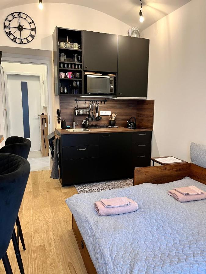 Studio V Prizemi S Kuchyni A Koupelnou Praha Bagian luar foto